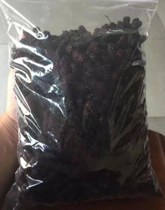 桑葚烘干機