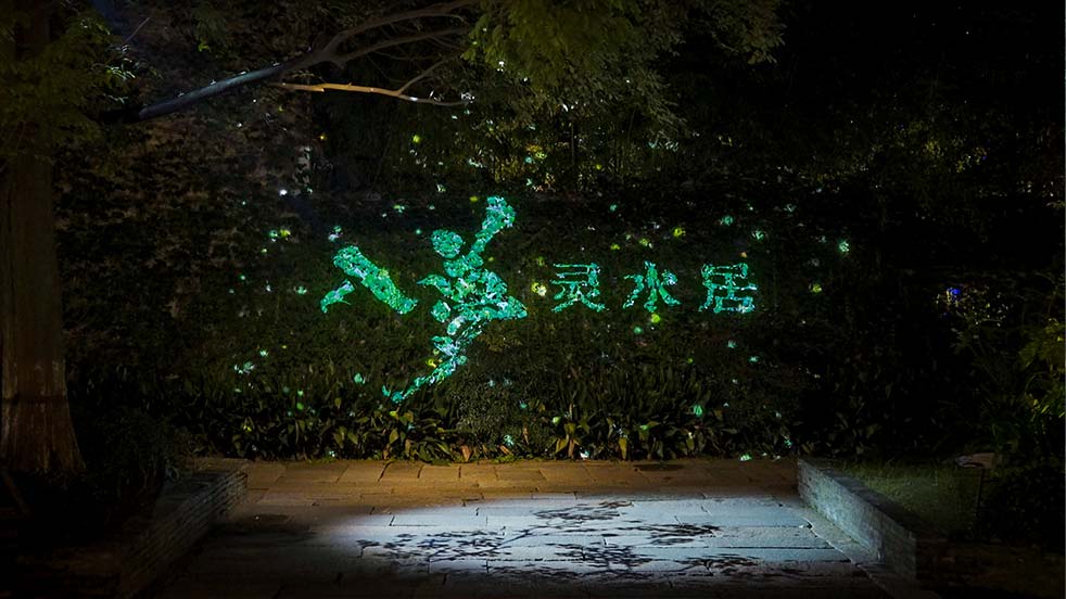 水幕投影 沉浸式光影秀 浙江烏鎮《入夢靈水居》 光峰工程投影 樹木投影 ALPD激光光源 